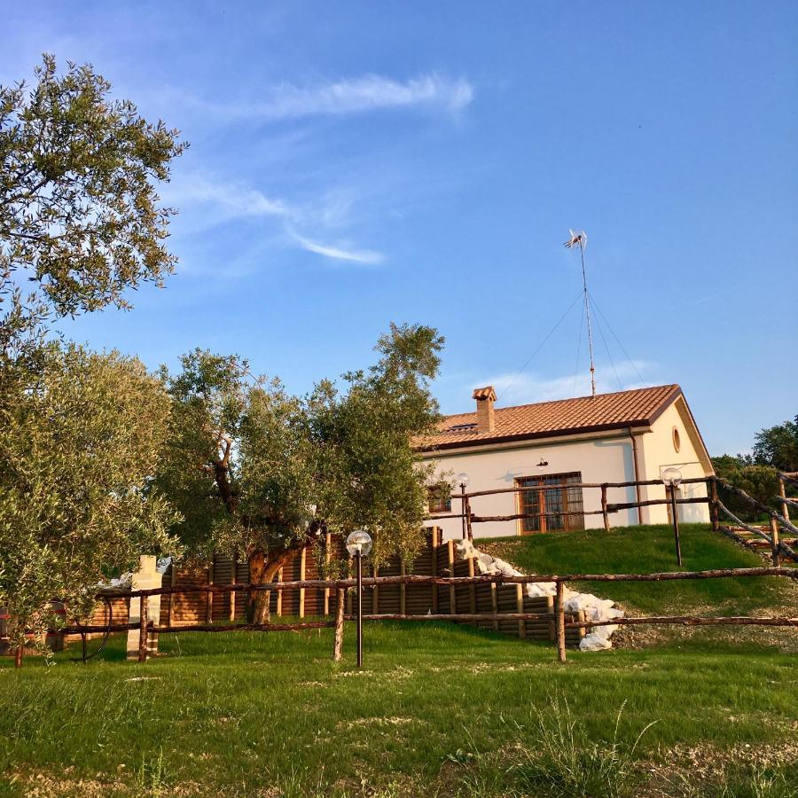 La Goiaba B&B 西尼加利亚 外观 照片