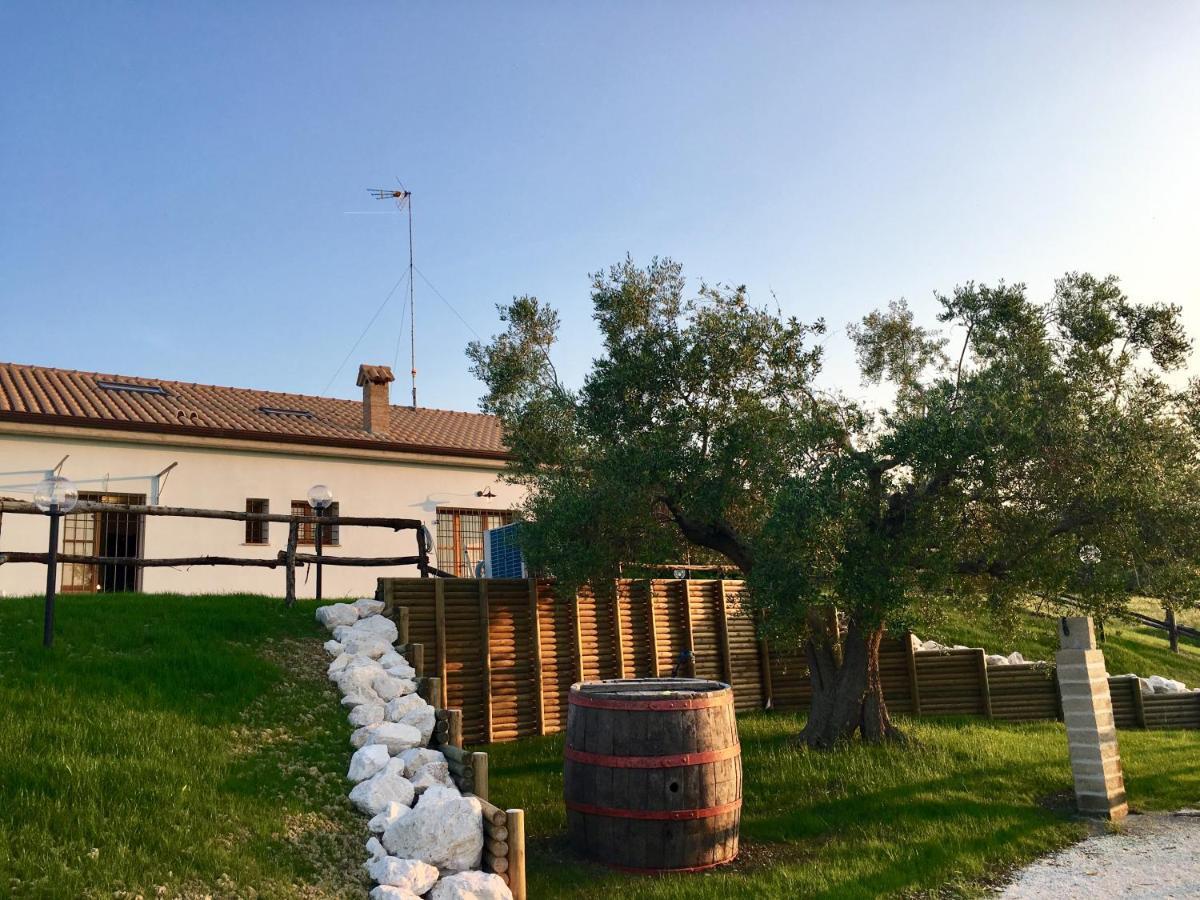 La Goiaba B&B 西尼加利亚 外观 照片